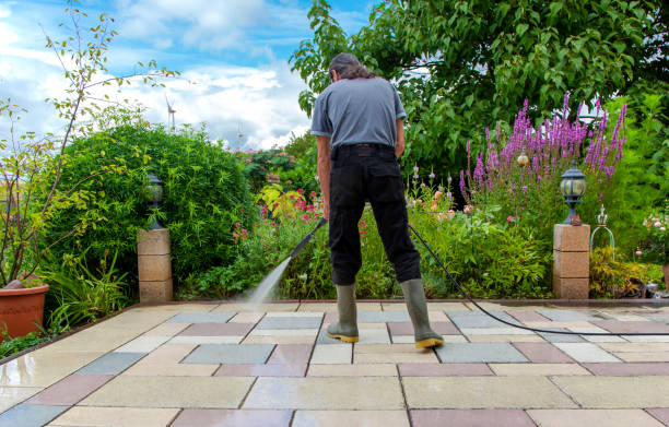 Best Fence Cleaning  in Richwood, LA